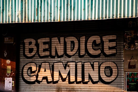 Pikniky s čočkami: Rady pro bezpečné nošení v létě